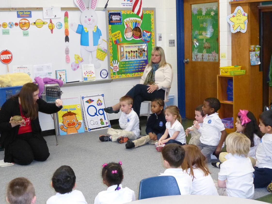 Assumption Catholic School Photo #1 - Pre-K4 in classroom field trip. Visited by Earthplace to learn about reptiles. The students got to touch the animals and ask lots of questions!