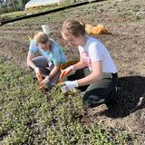 Edmund Burke School Photo #9 - 9th grade volunteering at Asawana Farms