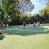 Washington International School Photo - The Primary School outdoor play area includes a field used for a variety of activities.