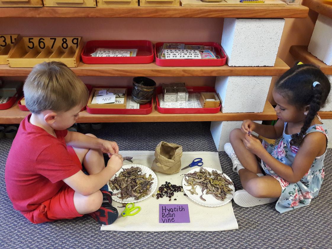 Cypresswood Montessori School Photo #1