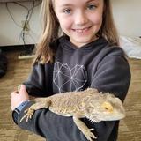 Hillside Academy Photo #10 - Learning hands-on about reptiles is great fun!