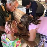 Full Circle Schools Photo #3 - Building bat houses. Habitats, science, math, critical thinking and confidence.