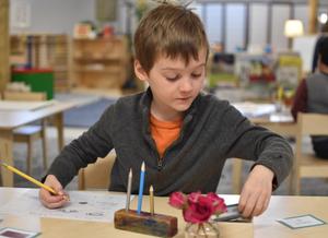Allium Montessori School Photo