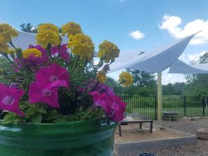 Blooming Grove Montessori Photo
