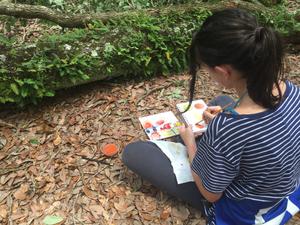 Treehouse Montessori Christian School Photo