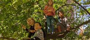 Morningside Immersion School Photo Morningside Immersion School Photo
