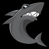 Schelastic Academy Photo #3 - Join our School of Sharks Today!#SharkStrong #SchelasticAcademy