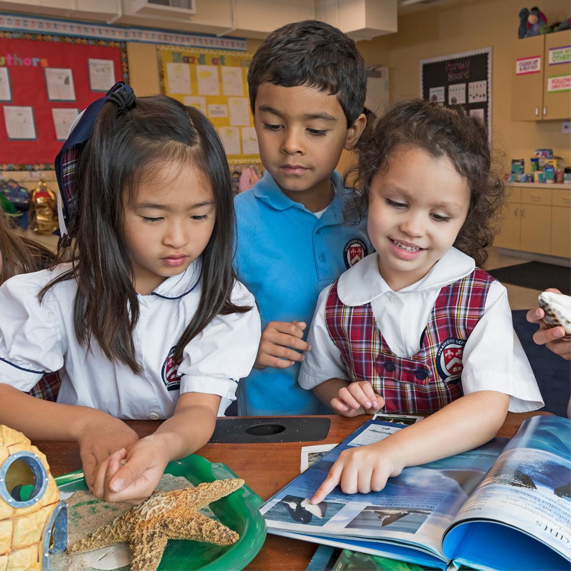 Stratford School Milpitas Corning Photo #1