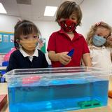 Frontiers Academy Photo #4 - Preschool students investigate and experiment to confirm their hypotheses.