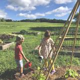 Bovina Center Montessori School Photo #13 - Primary students watering in the garden.