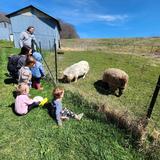 Bovina Center Montessori School Photo #2 - Toddler students visiting our farm animals.