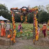 Adolesco Preparatory Academy Photo #10 - Grammar students in our Fall Fest pumpkin patch
