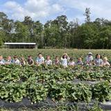 Adolesco Preparatory Academy Photo #6 - Grammar students at Strawberry Patch Field trip