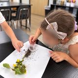 The Haven Academy (formerly Canton Homeschool Resources LLC) Photo #5 - Hands-on science: exploring plant roots