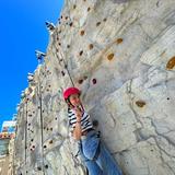 Lycee Francais de San Francisco LFSF Photo #6 - The Middle School and High School campus features a climbing wall bringing students to new heights!