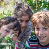 Lycee Francais de San Francisco LFSF Photo #5 - Sausalito students play and learn in the school garden, one of the features of the school's focus on sustainability and the environment.