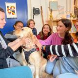 Lycee Francais de San Francisco LFSF Photo #22 - Wellbeing is a focus throughout the grades. Our Wellness Center and Skye, the therapy dog, contribute actively to generating dopamine!