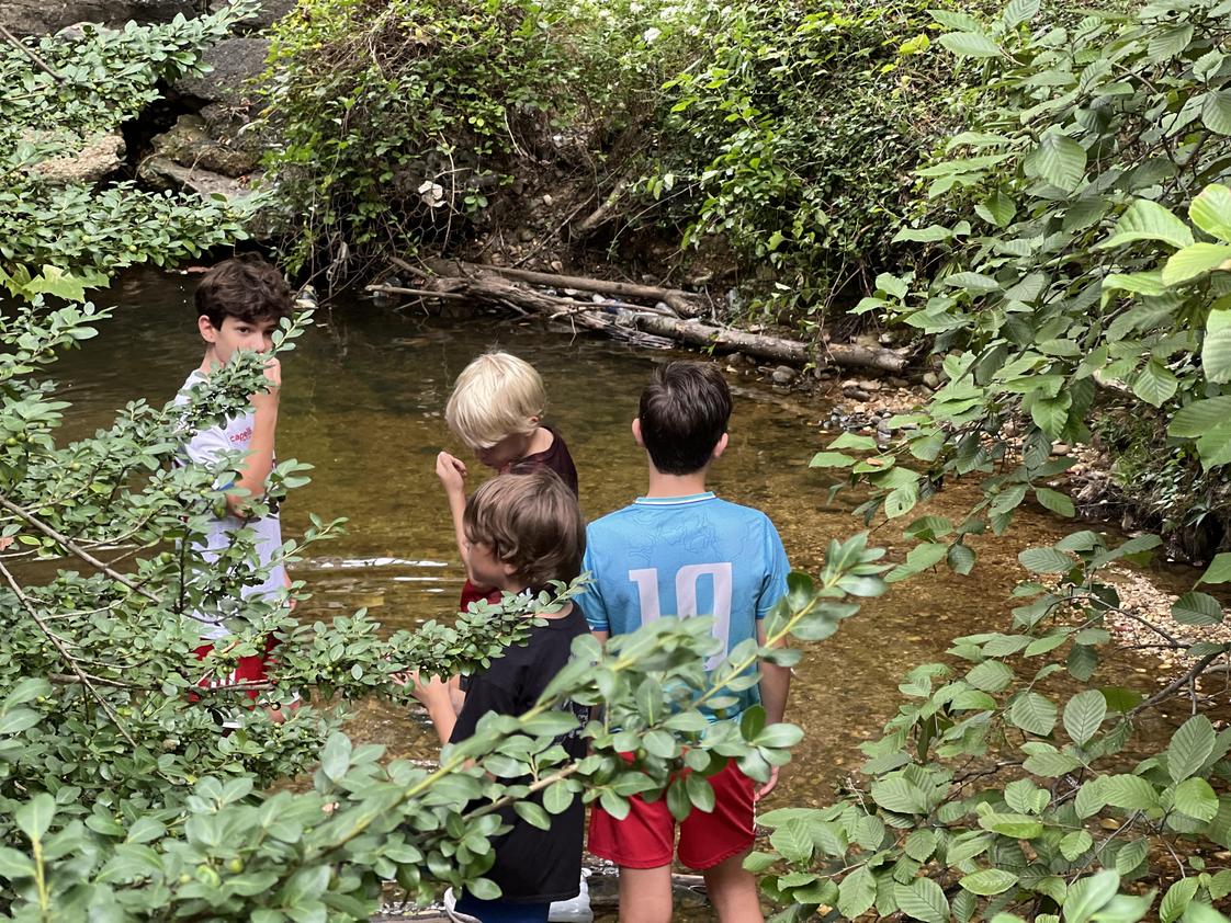 River Farm Forest School Photo #5 - The forest is more than our backdrop-it's an active part of every child's learning journey.