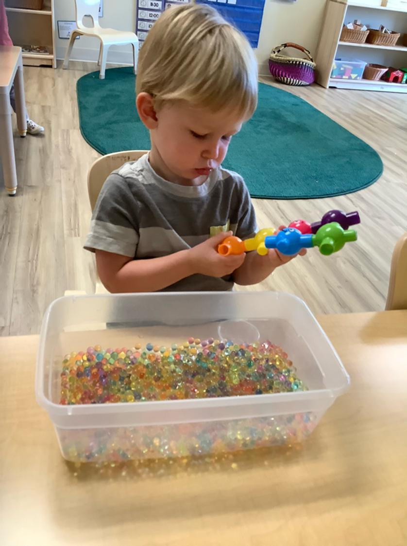 Montessori Academy Meridian Photo