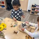 Montessori Academy Barber Station Photo #3