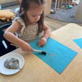 Merryhill School - Rocklin Photo #8