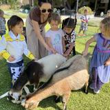Village Preschool Academy Photo #16 - Petting Zoo fun! Learning through experience and having a blast while doing it!