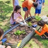 Evoke Acton Academy Northshore Photo #3