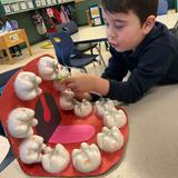 Merryhill Preschool Calvine Photo #6