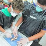 Grandview Preparatory School Photo #1 - Middle school students dissect frogs in Life Science.