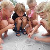Montessori By The Sea Photo - The beach is our outdoor classroom!