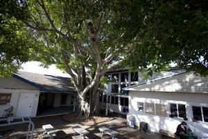 Montessori School Of Fort Myers Photo