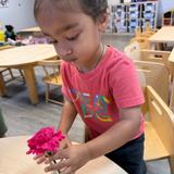 Montessori World School Photo #3 - Practical Life in action! A Pre-Primary student carefully creates a flower arrangement, strengthening fine motor skills, concentration, coordination, and independence while learning to care for and beautify his environment.