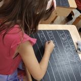 The Waldorf School of Tampa Bay Photo #10
