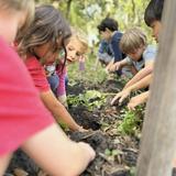 The Waldorf School of Tampa Bay Photo #15