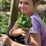 The Waldorf School of Tampa Bay Photo #8