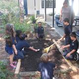 Wider Horizons School Photo #3 - Primary class students prepare their garden for fall planting.