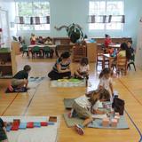 Coconut Grove Montessori School - Main Campus Photo #1