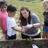 Good Shepherd Lutheran School Photo #2 - Planting carrot seeds in our new raised planting beds. Soon we'll be able to eat the "fruits" of our labor.