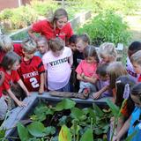 First Presbyterian Day School Photo - Second grade students study frogs and toads in our educational gardens.