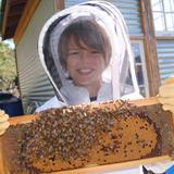 St. Andrew's School Photo #3 - Working at the Lower School bee hive