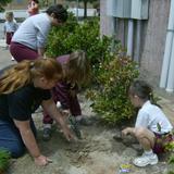 St. Frances Cabrini Catholic School Photo - Students and teachers beautify the campus as part of their Arbor Day activities, a joint effort between the upper schoo and the lower school.