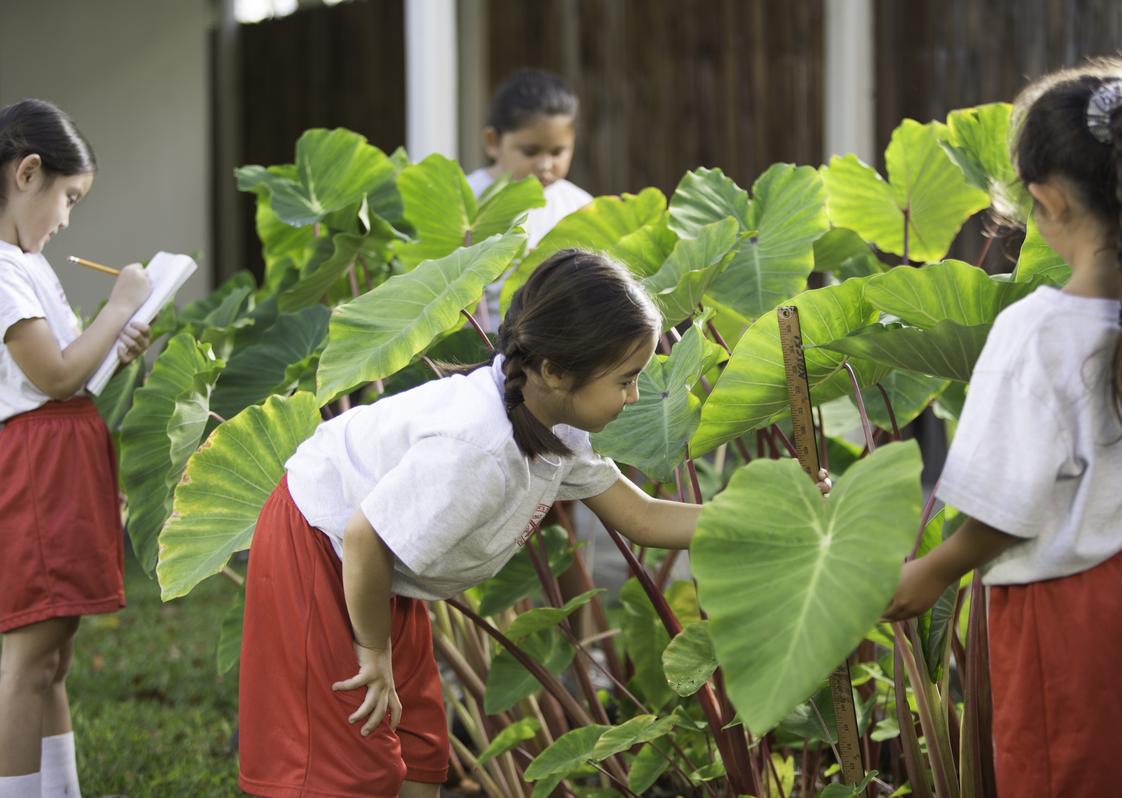 St. Andrew's Schools - The Prep Photo #1