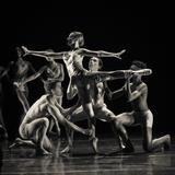 The Chicago Academy For The Arts Photo #3 - Dance Department