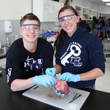 Rockford Lutheran School Photo #6 - Dissecting a Pig Heart