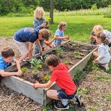 Spectrum School Photo #4 - Our students help maintain our own Spectrum garden, that produces many yummy foods!