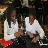 Augustus Tolton Catholic Academy Photo #4 - St. C Has a Biology Lab Where Students Get The Opportunity To Engage In Various Experiments!
