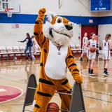 Trinity Lutheran School Photo #4 - Our mascot, Timmy the Tiger.