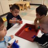 Bensenville KinderCare Photo #8 - Gathering around to touch the feathers in our sensory area.