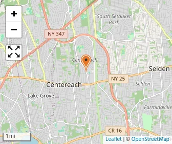 Map of Our Savior New American School