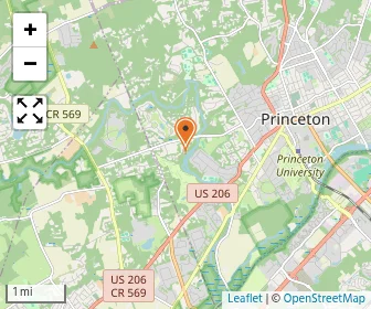 Map of Princeton International School Of Math And Science